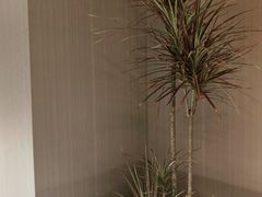 -益健·足疗汗蒸SPA(芙蓉广场店)