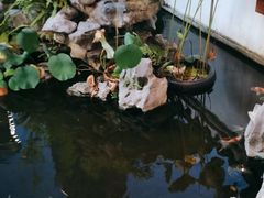 -道南書院·私房菜·早午茶·茶馆