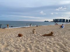 -盘古掌冲浪俱乐部(日月湾店)