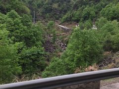 -四明山国家森林公园