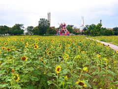 -祥源·阜阳生态乐园