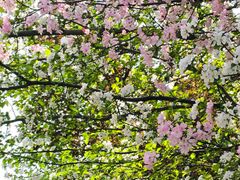 -浙江大学(玉泉校区)