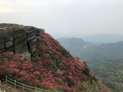 -木兰云雾山