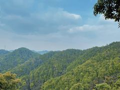 -南山植物园