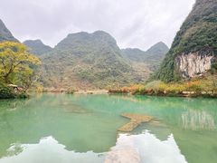 -靖西鹅泉风景区