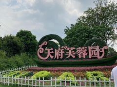 -天府芙蓉园