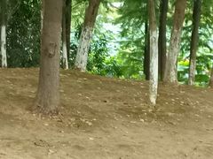 -艾溪湖湿地公园