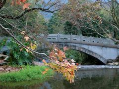-广州市石门国家森林公园