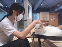 -瞄一喵猫咖(格力海岸店)