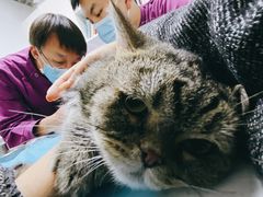 -达爱动物医院·犬猫分区·CT·复杂眼科(远洋山水分院)