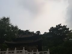-景忠山旅游区