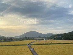 -艾米稻香小镇