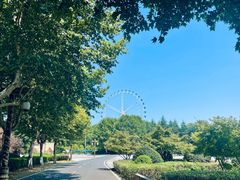 -宜兴龙背山森林公园