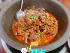 生态甲鱼-火焰金龟甲(汉阳江滩旗舰店)