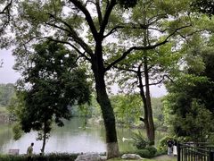 -南宁市动物园