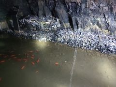 -大同煤炭博物馆