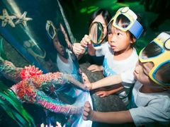 -沈阳海洋探索中心