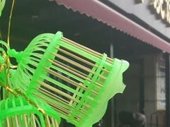 -沪花拾者(好再来花卉鲜花店)