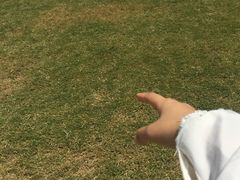 -南通洲际绿博园