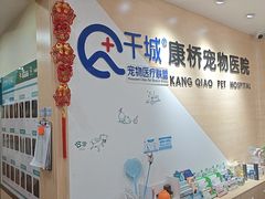 -千城康桥宠物医院·猫科·骨科·心脏