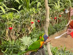 -南宫五洲植物乐园