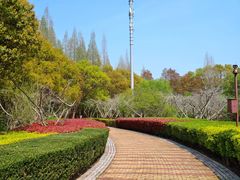 -同里国家湿地公园