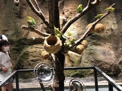 -zoonana室内动物园(东方福来德店)