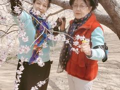 -奥林匹克森林公园北园-停车场