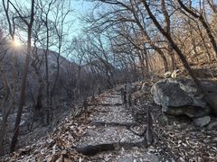 -阳台山自然风景区