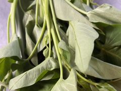 -伴山茶苑·一盏冰茶·半日山居