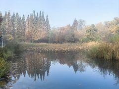 -青岛海滨风景区