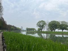 -苏州太湖湖滨国家湿地公园
