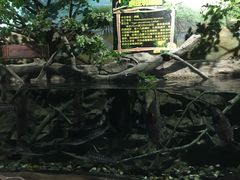 -梦幻海洋王国(吾悦广场张家港店)