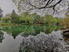 -花溪公园