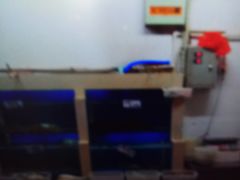 -胶东海鲜大排档(北太平庄店)