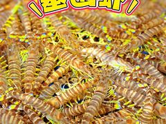 -王四营海鲜市场