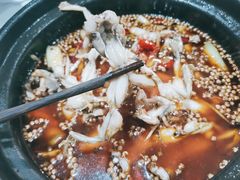 青蛙-小板凳(四公里店)