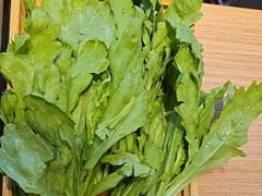 -蝎王府羊蝎子(西直门店)