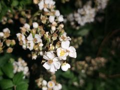 -鬼笑石后山停车场