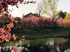 -石塘人家