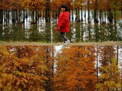 -白鹭湾湿地公园