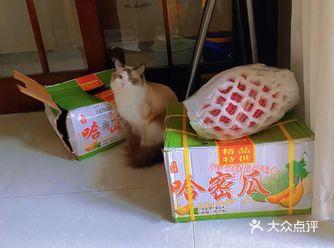 一大早快递电话说：有你买的哈密瓜在家吗
