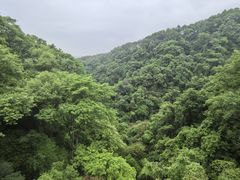 -桂林古东瀑布景区
