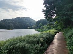 -广州市石门国家森林公园