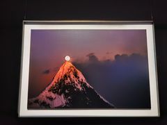 -罗红摄影艺术馆