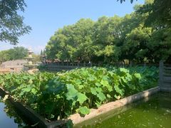 -洛阳白马寺