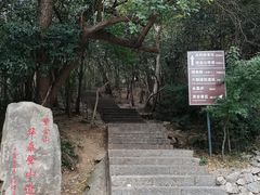 -紫金山山顶公园
