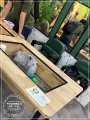 -神奇动物撸宠馆·羊驼·小浣熊·异宠(豫园店)