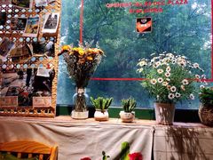 -越美小馆·越南料理(曲江店)