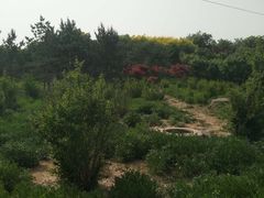 -石家庄市植物园